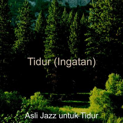 Asli Jazz untuk Tidur's cover