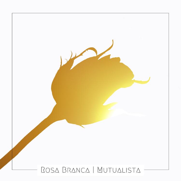 Mutualista's avatar image