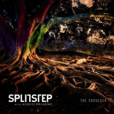 Splitstep's cover