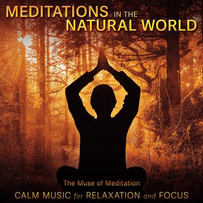 Meditations in the Natural World: Calm Music for Relaxation and Focus's cover