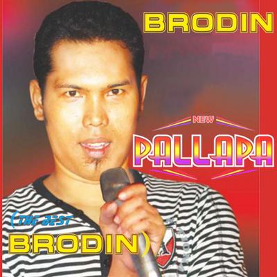 New Pallapa (The Best Brodin)'s cover