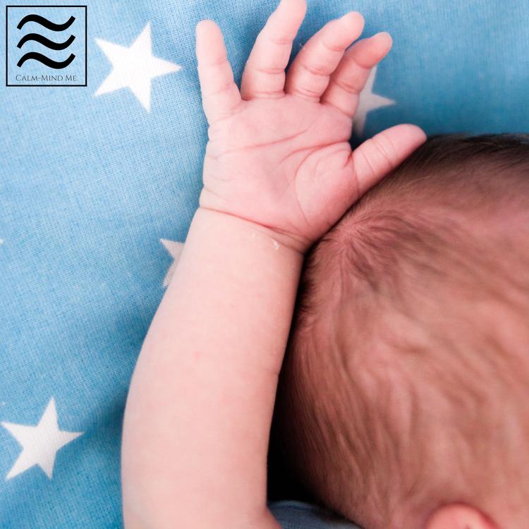 Sleep Noise Machine for Baby Sleep's avatar image