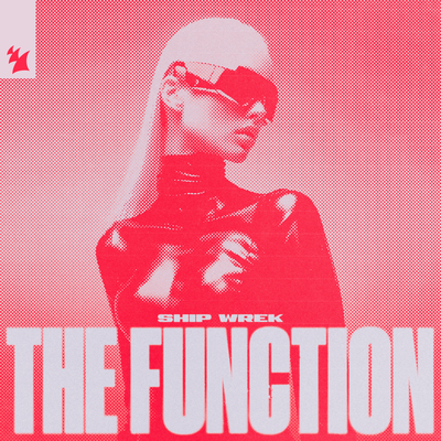 The Function By Ship Wrek's cover