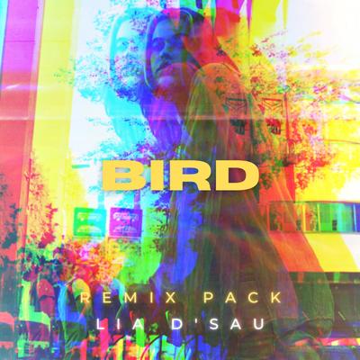 Bird (Charlie Hedges & Eddie Craig Remix)'s cover