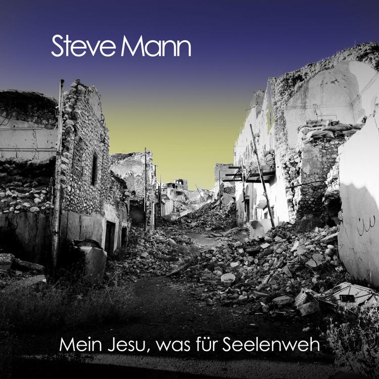 Steve Mann's avatar image