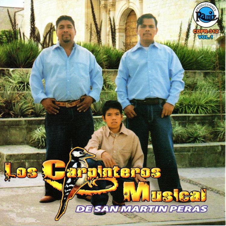 Los Carpinteros Musical De San Martin Peras's avatar image