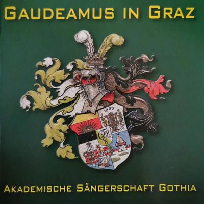 Student sein in Graz's cover