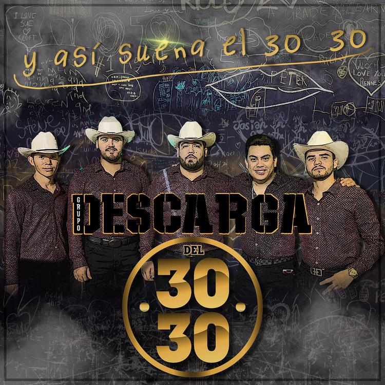 Grupo Descarga Del 3030's avatar image