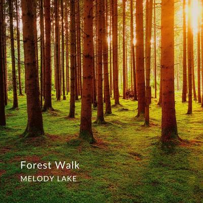 Emerald River By Melody Lake's cover