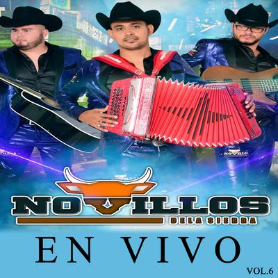 En Vivo, Vol. 6's cover