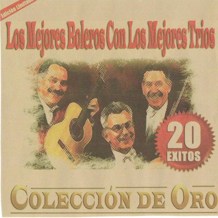 Los Boleros Con Los Mejores Trio's avatar image