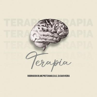 Terapia By Mc Pretchako, Mc Rodrigo do CN, Dj Lc, Dj Caio Vieira's cover