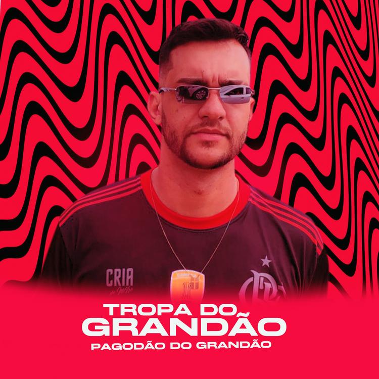 Tropa do Grandão's avatar image