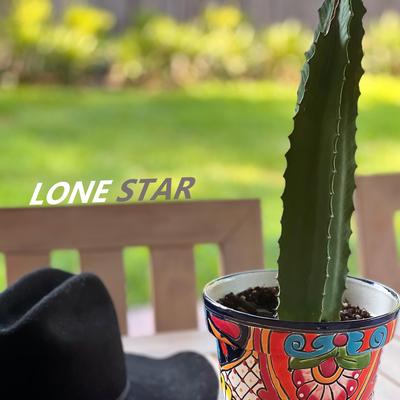 Lone Star By Dmnnce's cover