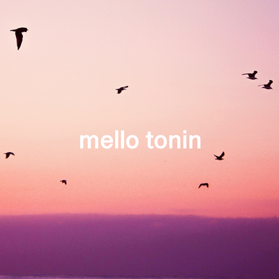 Birdsong By Mello Tonin's cover