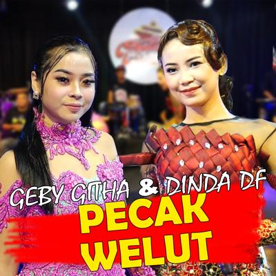 Pecak Welut's cover