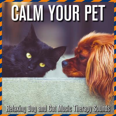 Calm Your Pet: Relaxing Dog and Cat Music Therapy Sounds's cover