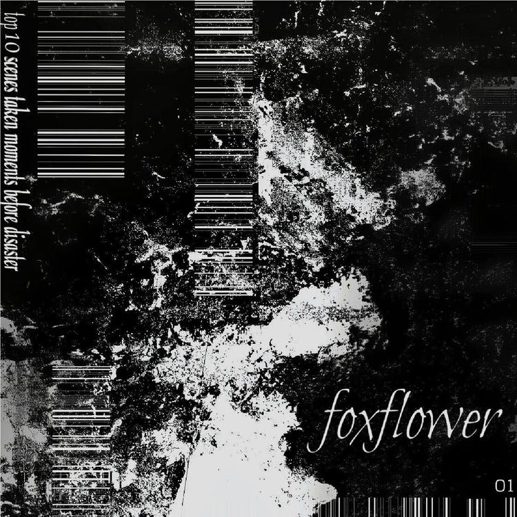 Foxflower's avatar image