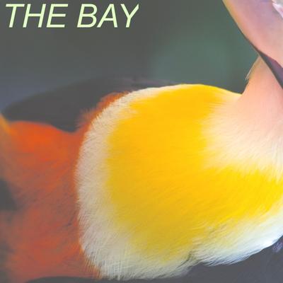 The Bay's cover