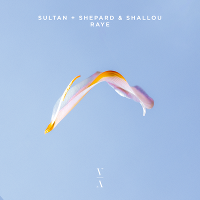 Raye By Sultan + Shepard, Shallou's cover