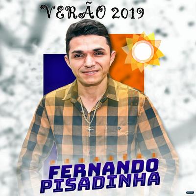 O Velho Ta Novo By Fernando Pisadinha's cover
