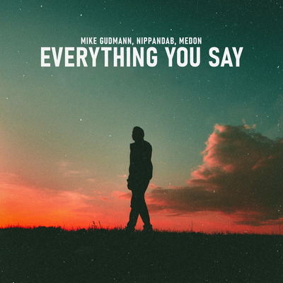 Everything You Say's cover