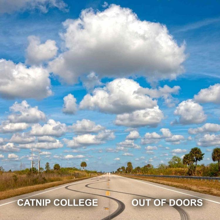 Catnip College's avatar image