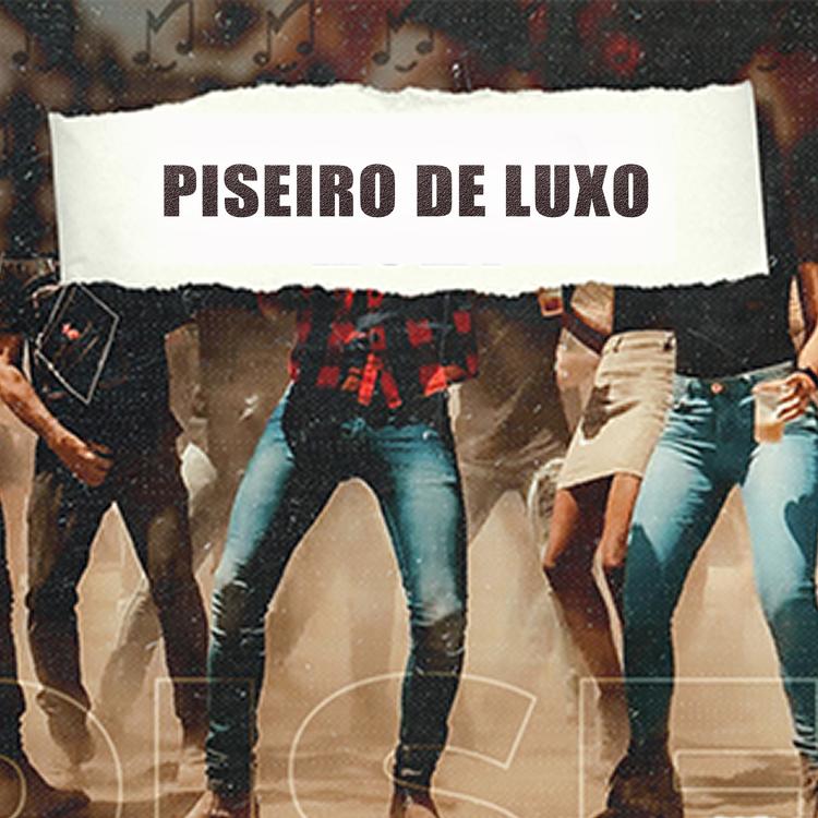 Banda Piseiro de Luxo's avatar image