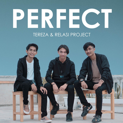 Perfect (Acoustic)'s cover