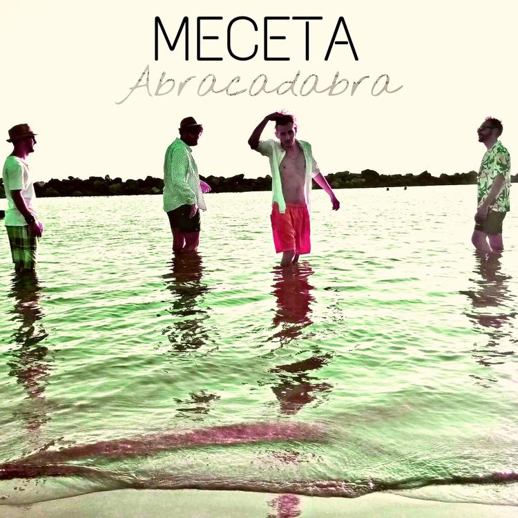 Meceta's avatar image