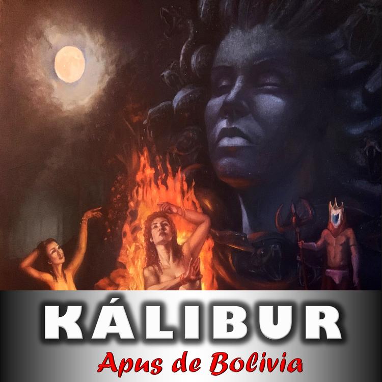 APUS DE BOLIVIA's avatar image