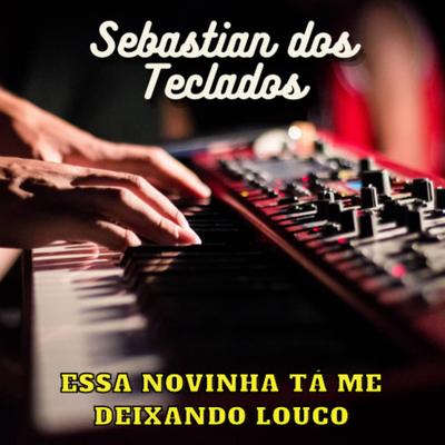 A Dona do Meu Coração By Sebastian dos Teclados's cover