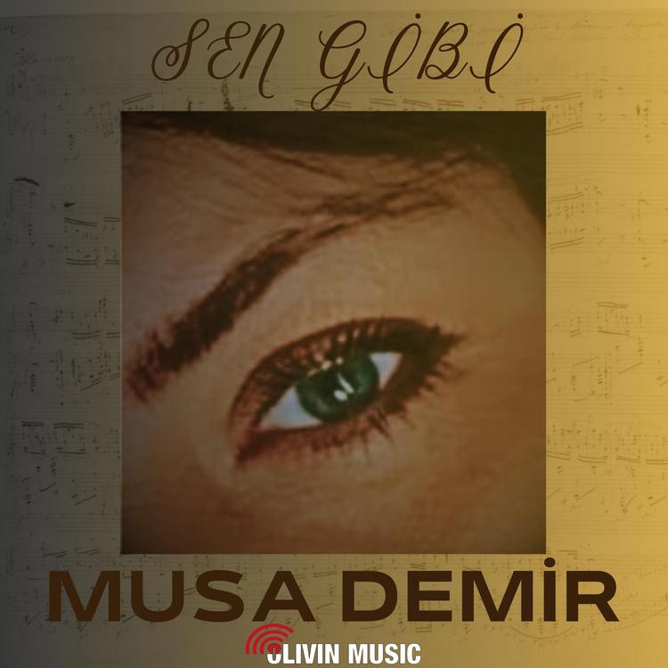 Musa Demir's avatar image