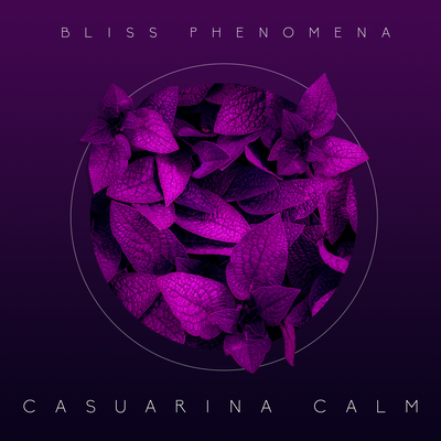 Casuarina Calm's cover