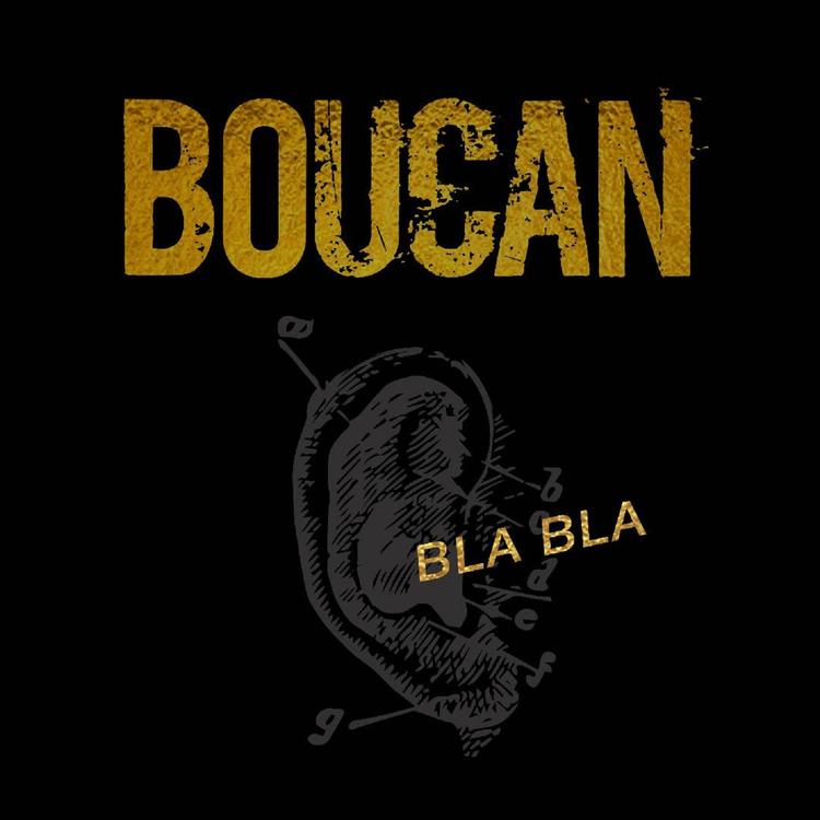 Boucan's avatar image