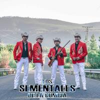 Los Sementales De La Cumbia's avatar cover