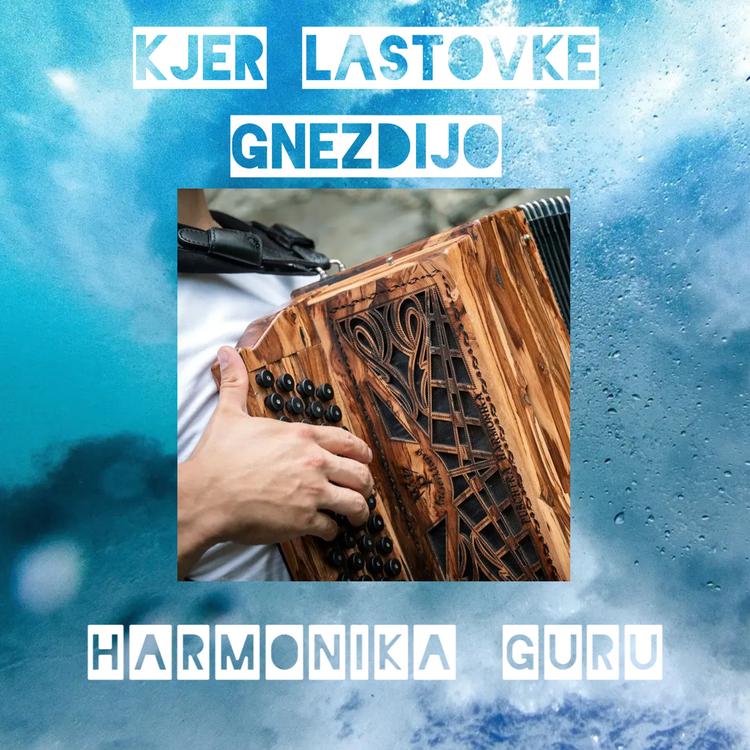 Harmonika Guru's avatar image