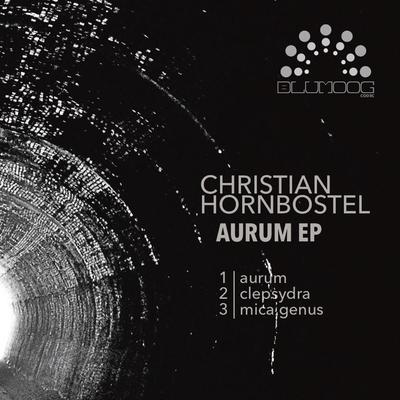 Aurum EP's cover