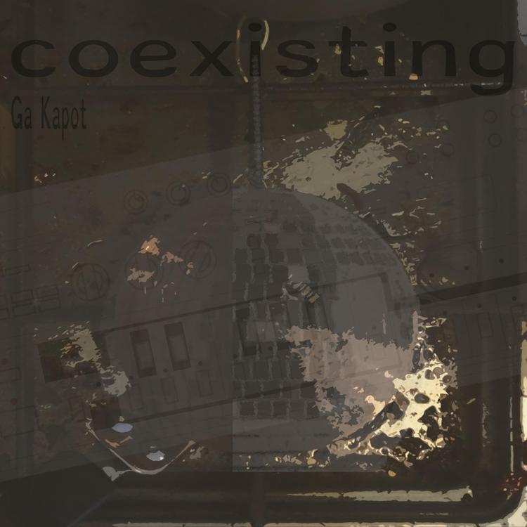 Coexisting's avatar image