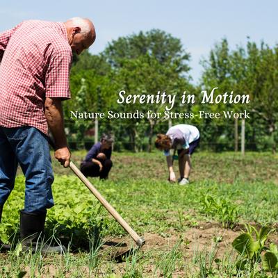 Serenity in Motion: Nature Sounds for Stress-Free Work's cover