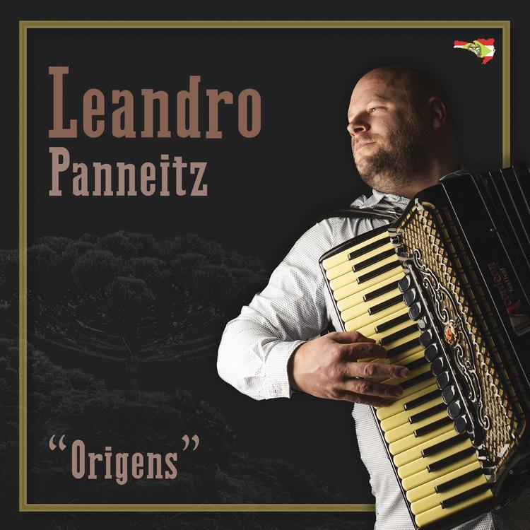Leandro Panneitz's avatar image