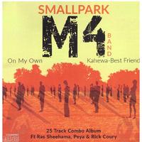 Smallpark M4 Band's avatar cover