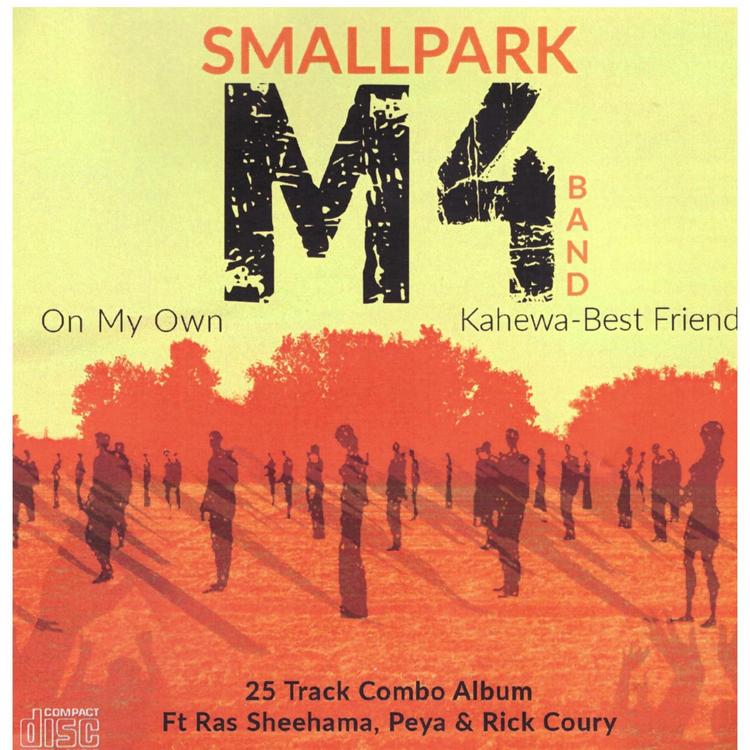 Smallpark M4 Band's avatar image