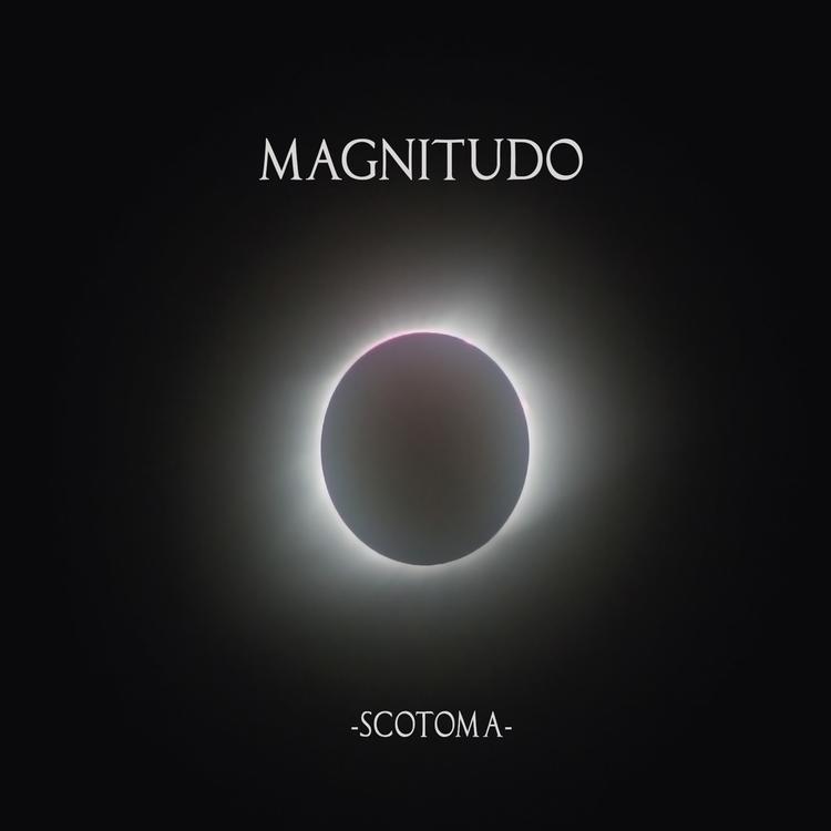 Magnitudo's avatar image