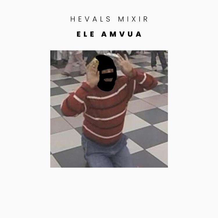 Hevals Mixir's avatar image