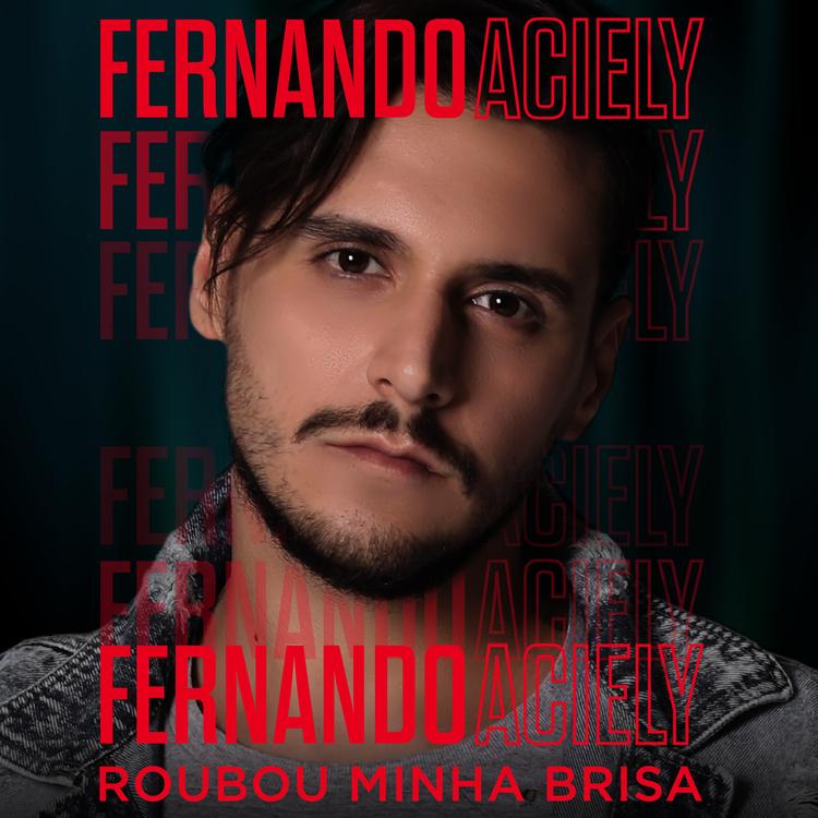 Fernando Aciely's avatar image
