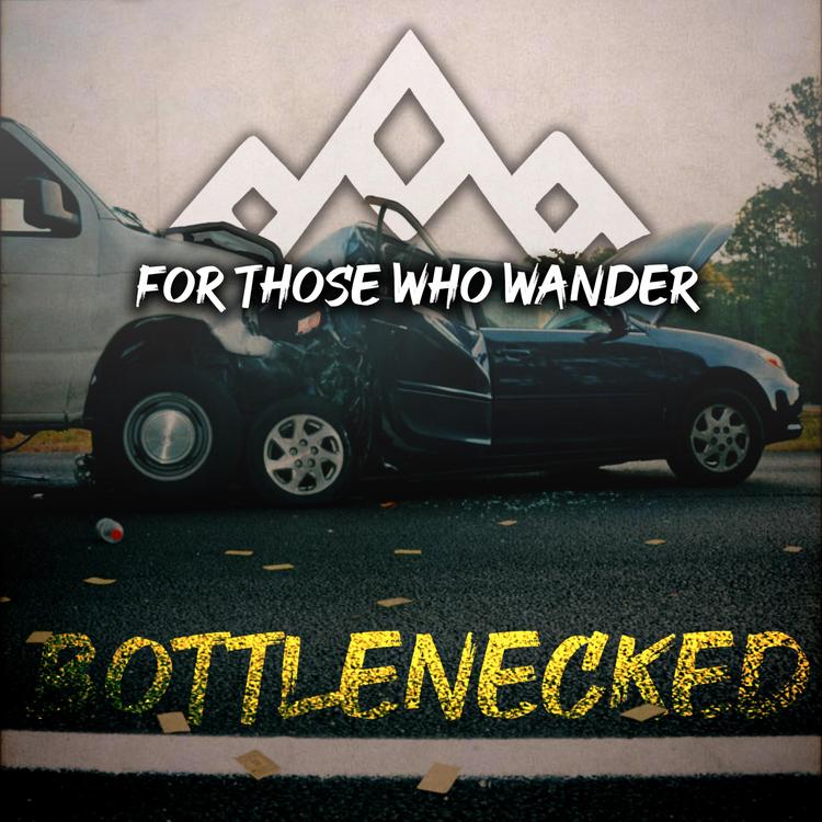 For Those Who Wander's avatar image