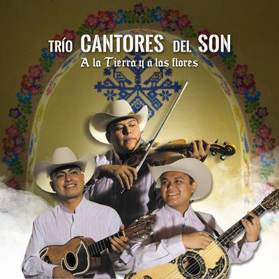 Trío Cantores del Son's cover