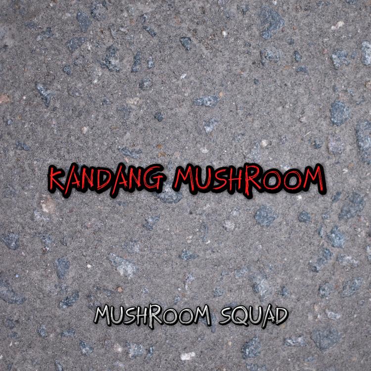 Mushroom Squad's avatar image