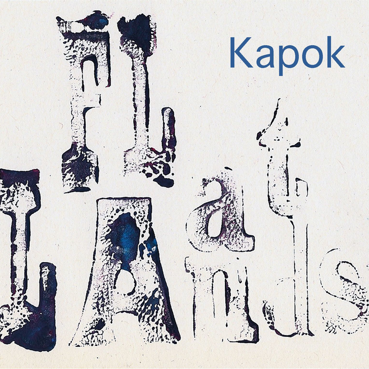 Kapok's avatar image